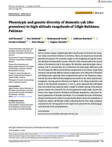 Phenotypic and genetic diversity of domestic yak (Bos grunniens) in  high-altitude rangelands of Gilgit-Baltistan, Pakistan